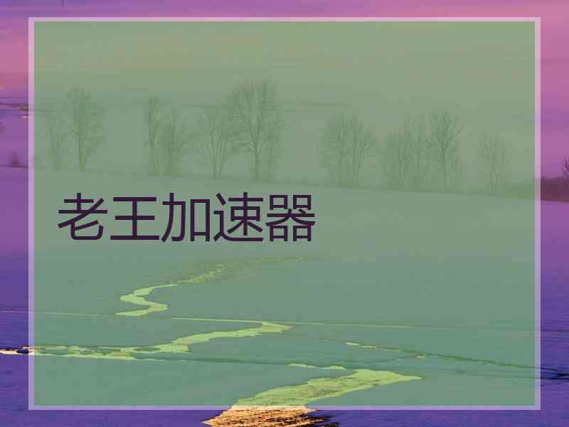 老王加速器