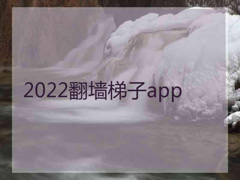 2022翻墙梯子app
