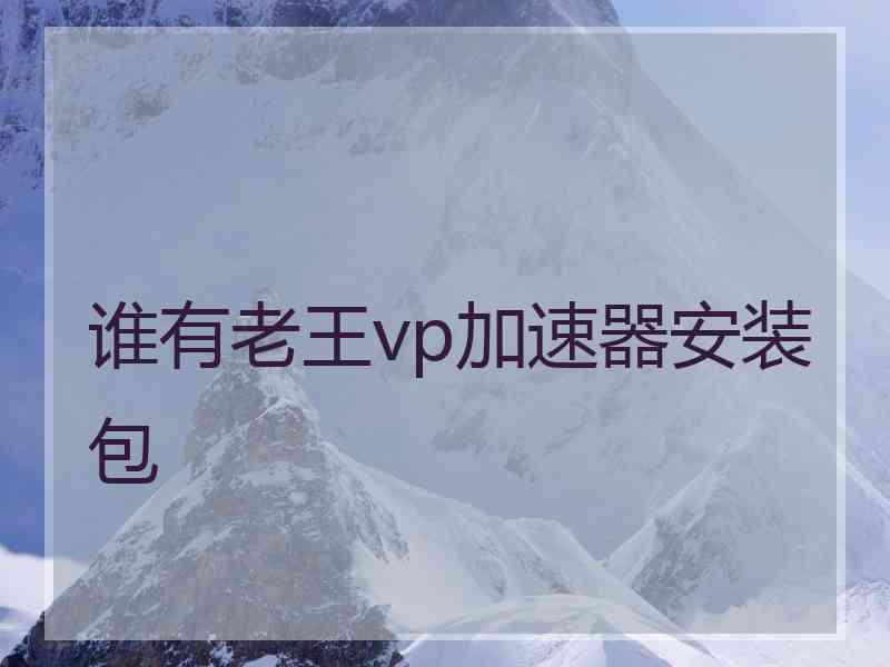 谁有老王vp加速器安装包