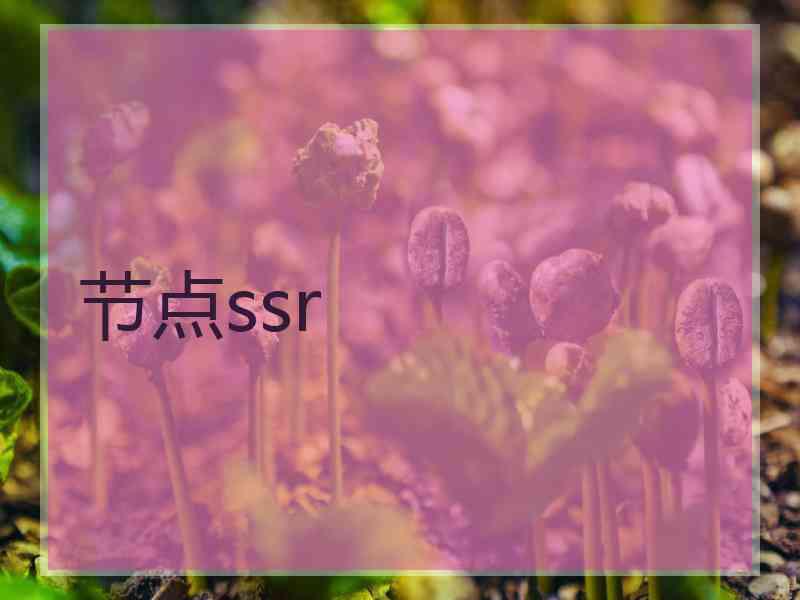 节点ssr