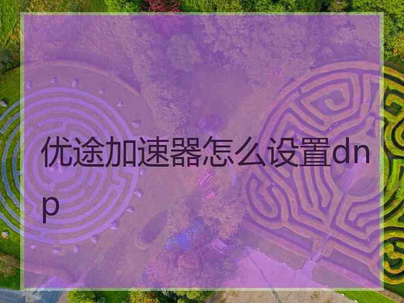 优途加速器怎么设置dnp