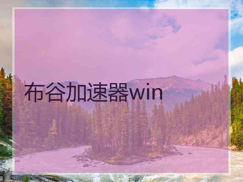 布谷加速器win