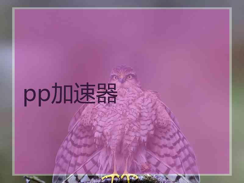 pp加速器