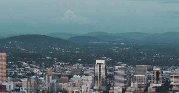 mac翻回国内软件
