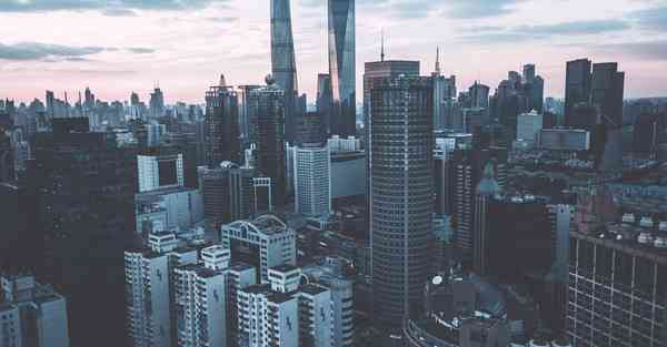 手机上外网