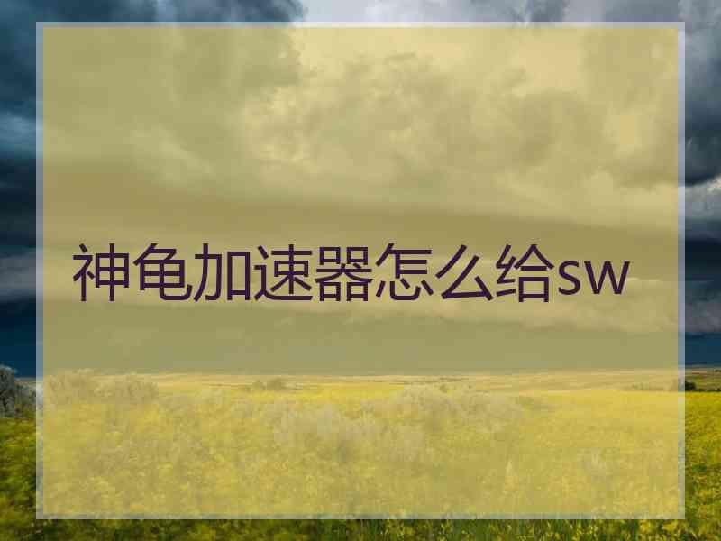 神龟加速器怎么给sw