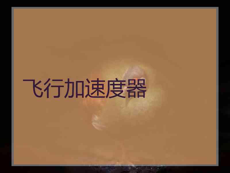 飞行加速度器