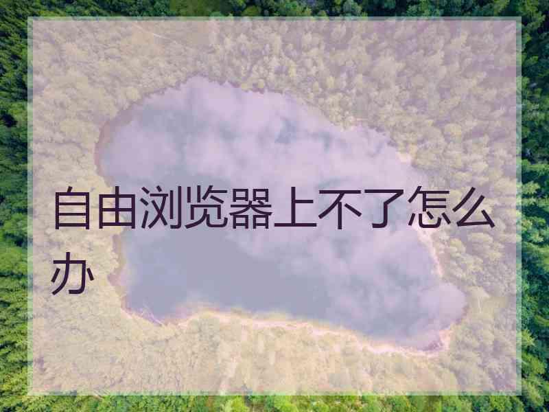 自由浏览器上不了怎么办