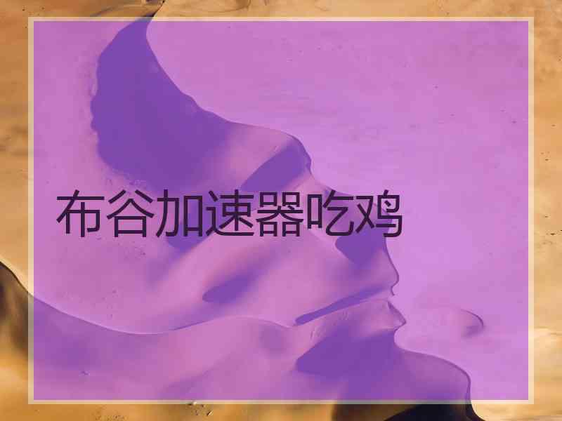 布谷加速器吃鸡