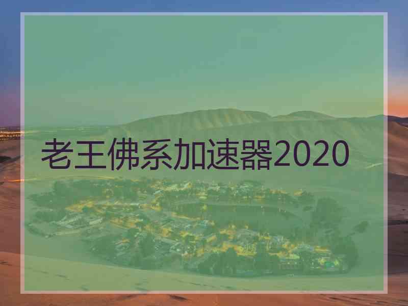 老王佛系加速器2020