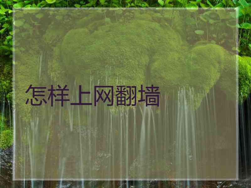 怎样上网翻墙