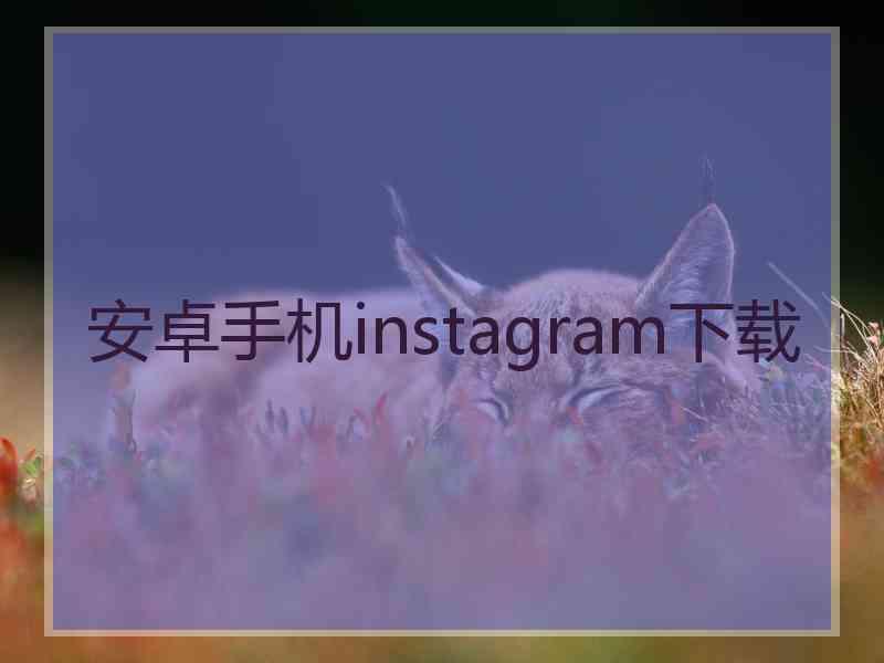 安卓手机instagram下载