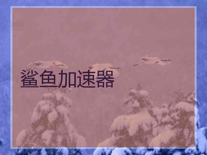 鲨鱼加速器