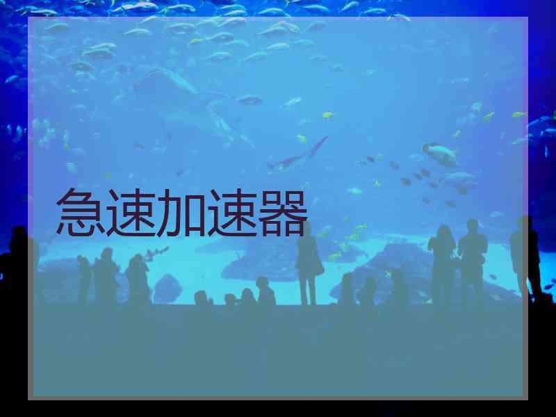 急速加速器