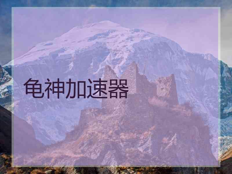 龟神加速器