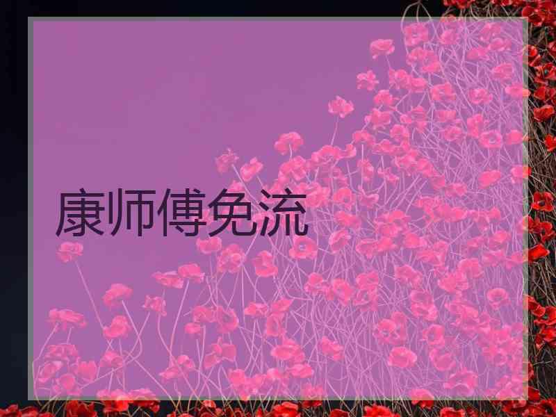 康师傅免流