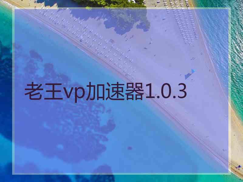 老王vp加速器1.0.3