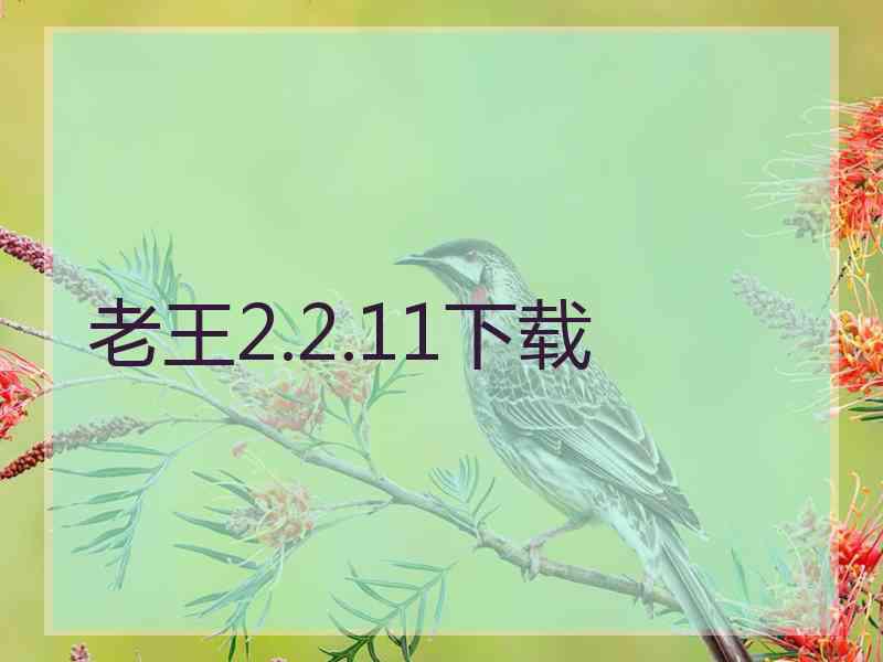 老王2.2.11下载