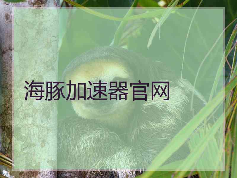 海豚加速器官网
