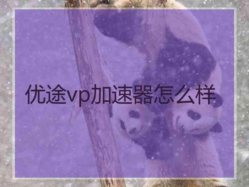 优途vp加速器怎么样