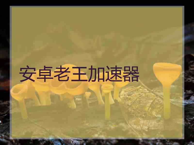 安卓老王加速器