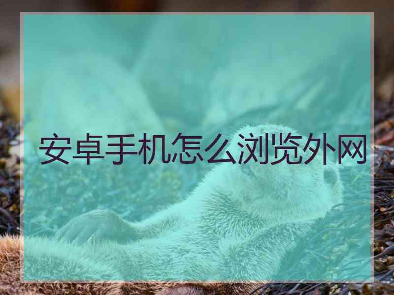 安卓手机怎么浏览外网