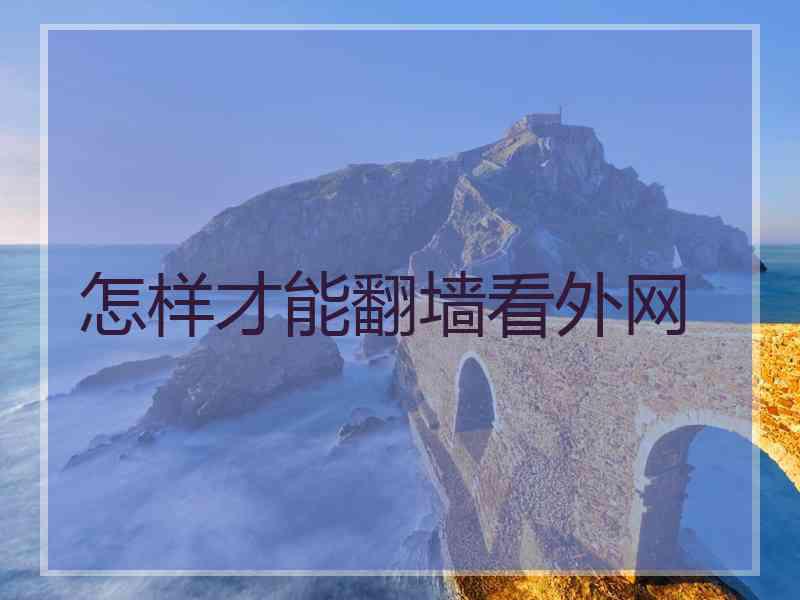 怎样才能翻墙看外网