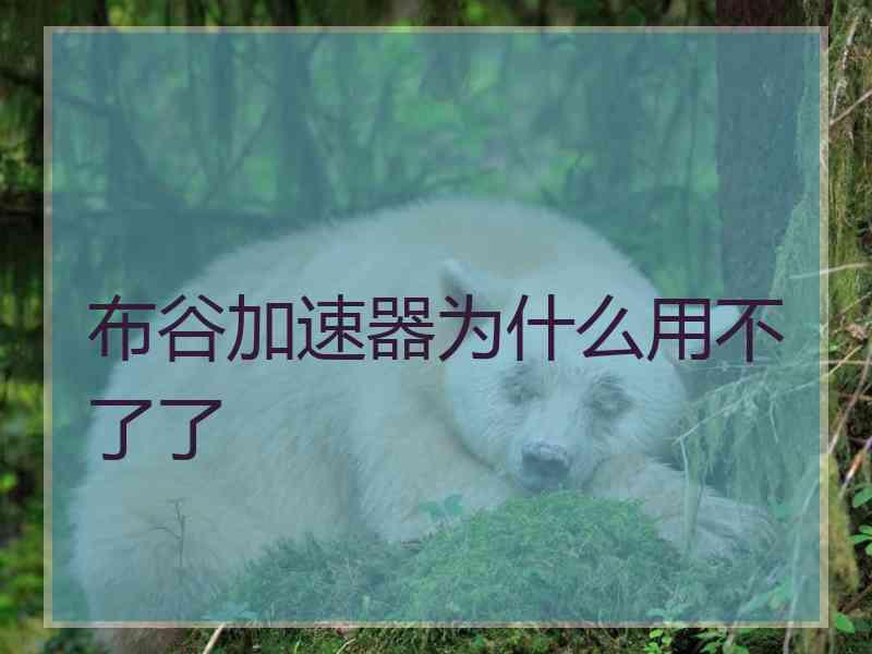 布谷加速器为什么用不了了