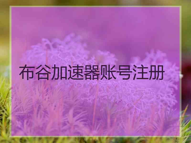 布谷加速器账号注册