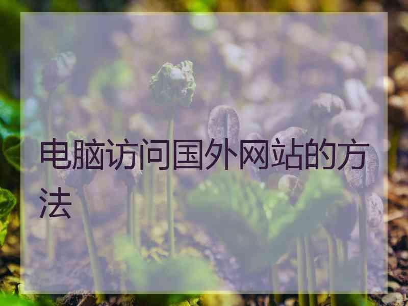 电脑访问国外网站的方法