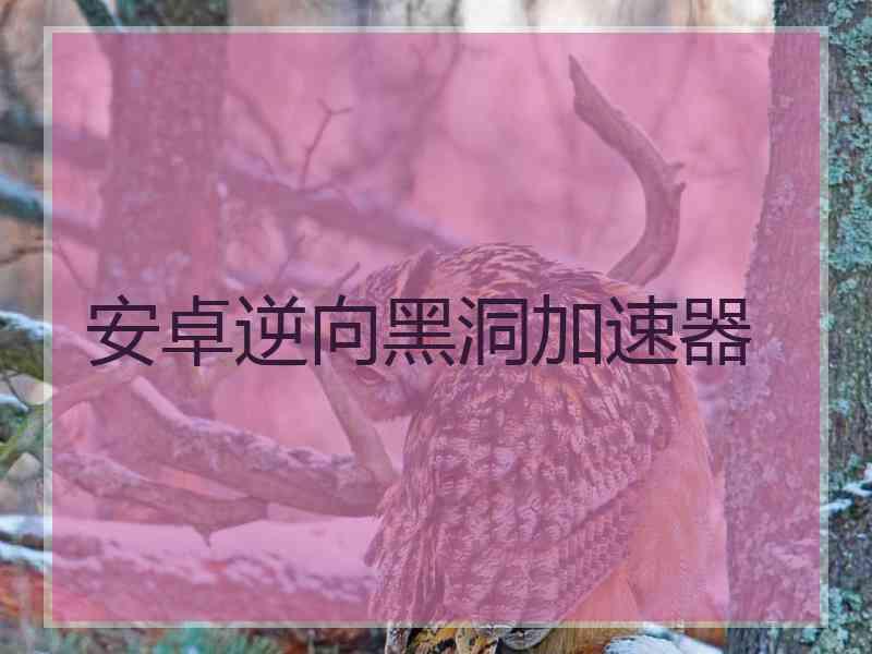 安卓逆向黑洞加速器