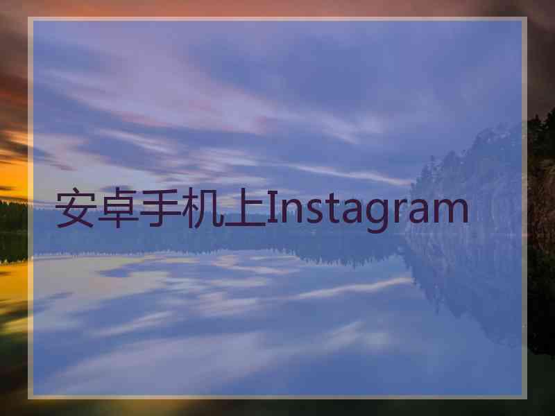 安卓手机上Instagram