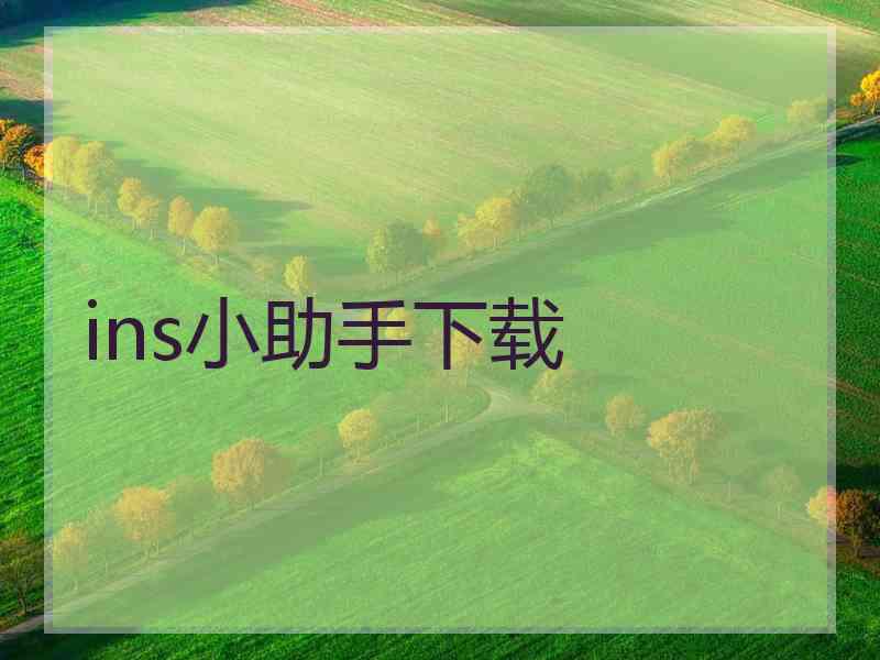 ins小助手下载