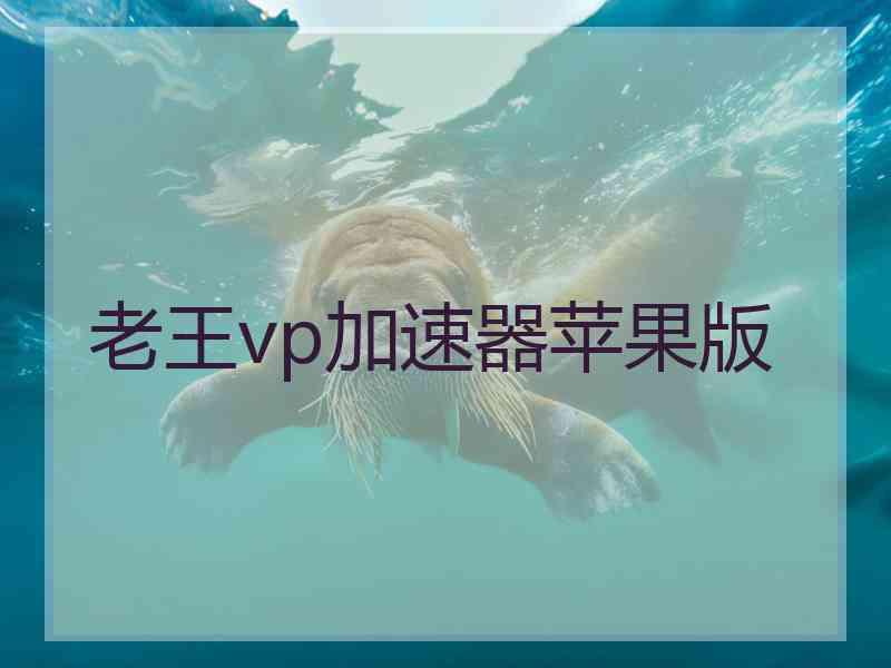 老王vp加速器苹果版