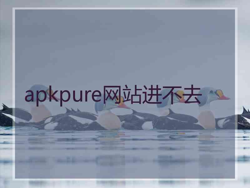 apkpure网站进不去