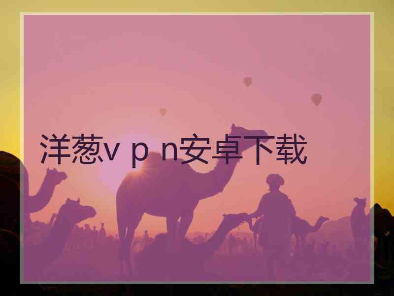 洋葱v p n安卓下载