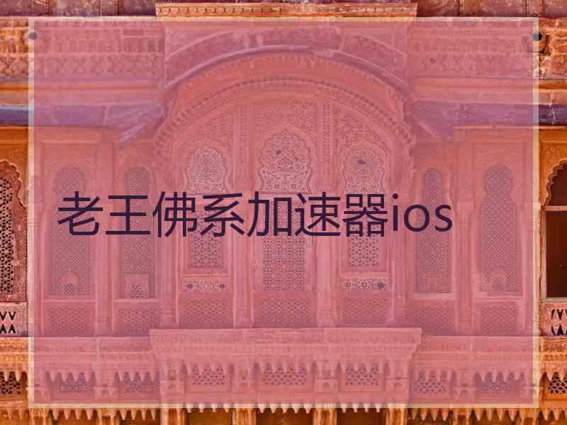老王佛系加速器ios