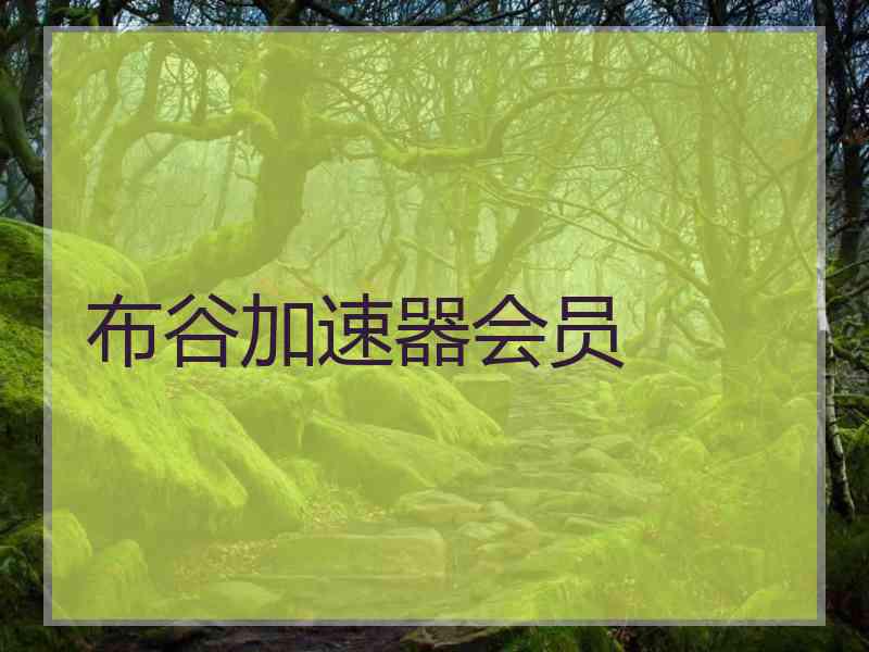 布谷加速器会员