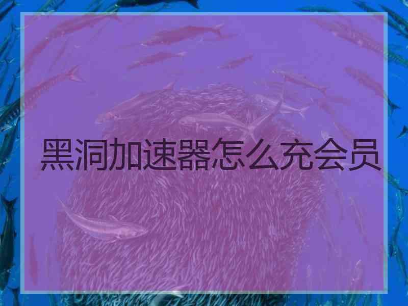 黑洞加速器怎么充会员