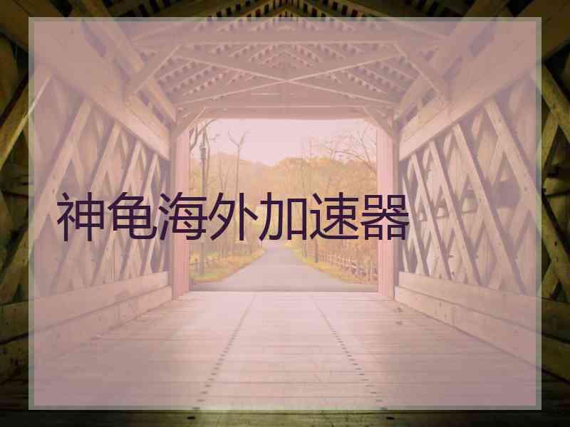 神龟海外加速器