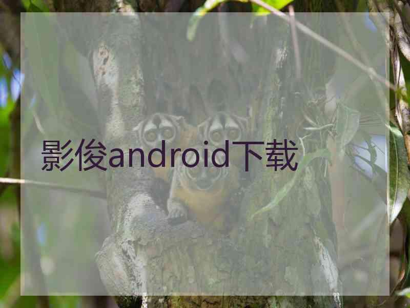 影俊android下载