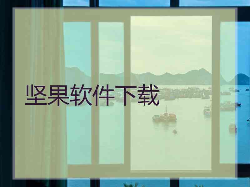 坚果软件下载