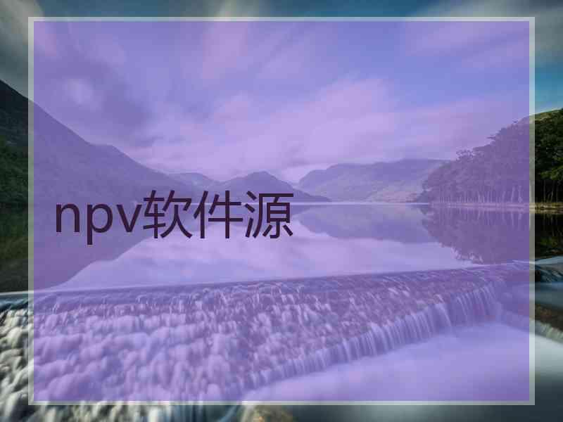 npv软件源
