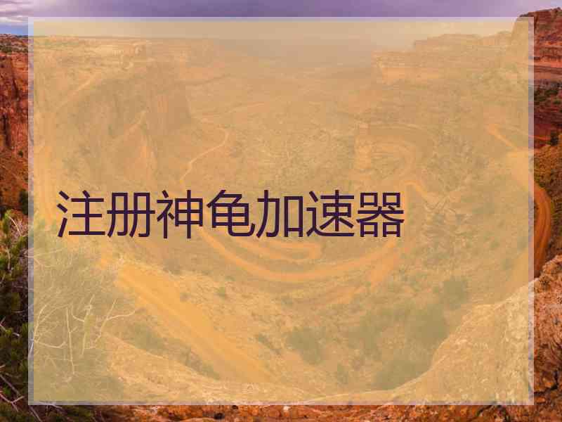 注册神龟加速器