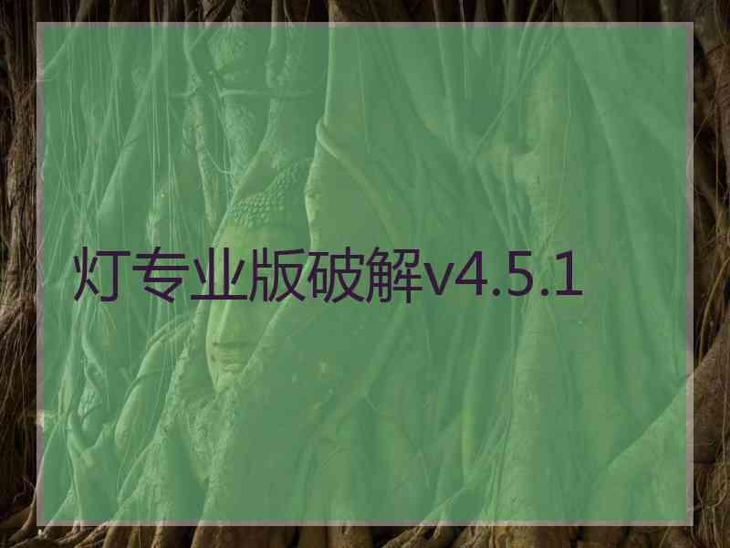 灯专业版破解v4.5.1