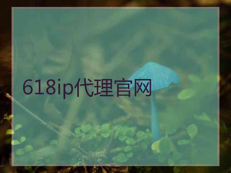 618ip代理官网
