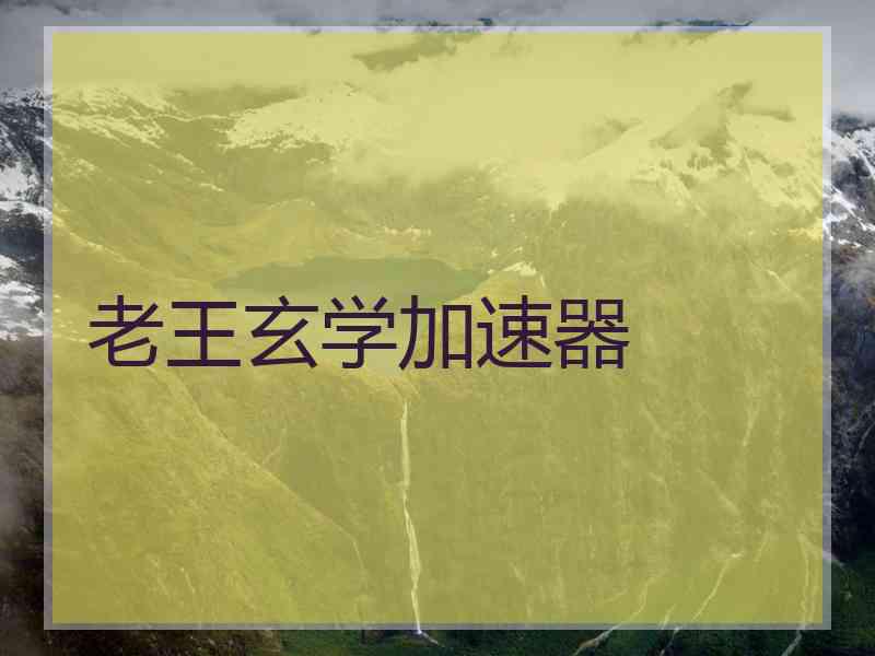 老王玄学加速器