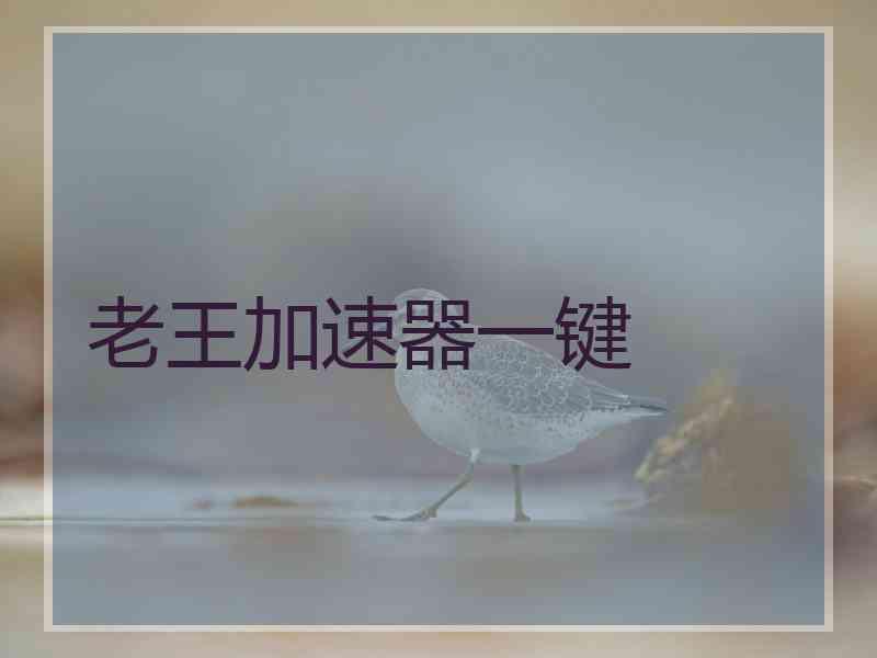 老王加速器一键