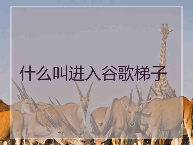 什么叫进入谷歌梯子
