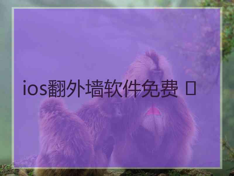 ios翻外墙软件免费 	